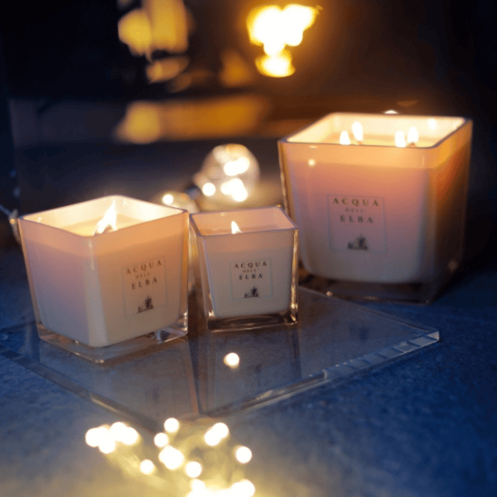 Acqua Dell'Elba Home Diffuser Acqua Dell'Elba Note Di Natale Fragrance Large Diffuser 84,5 fl.oz 2.5 L Brand