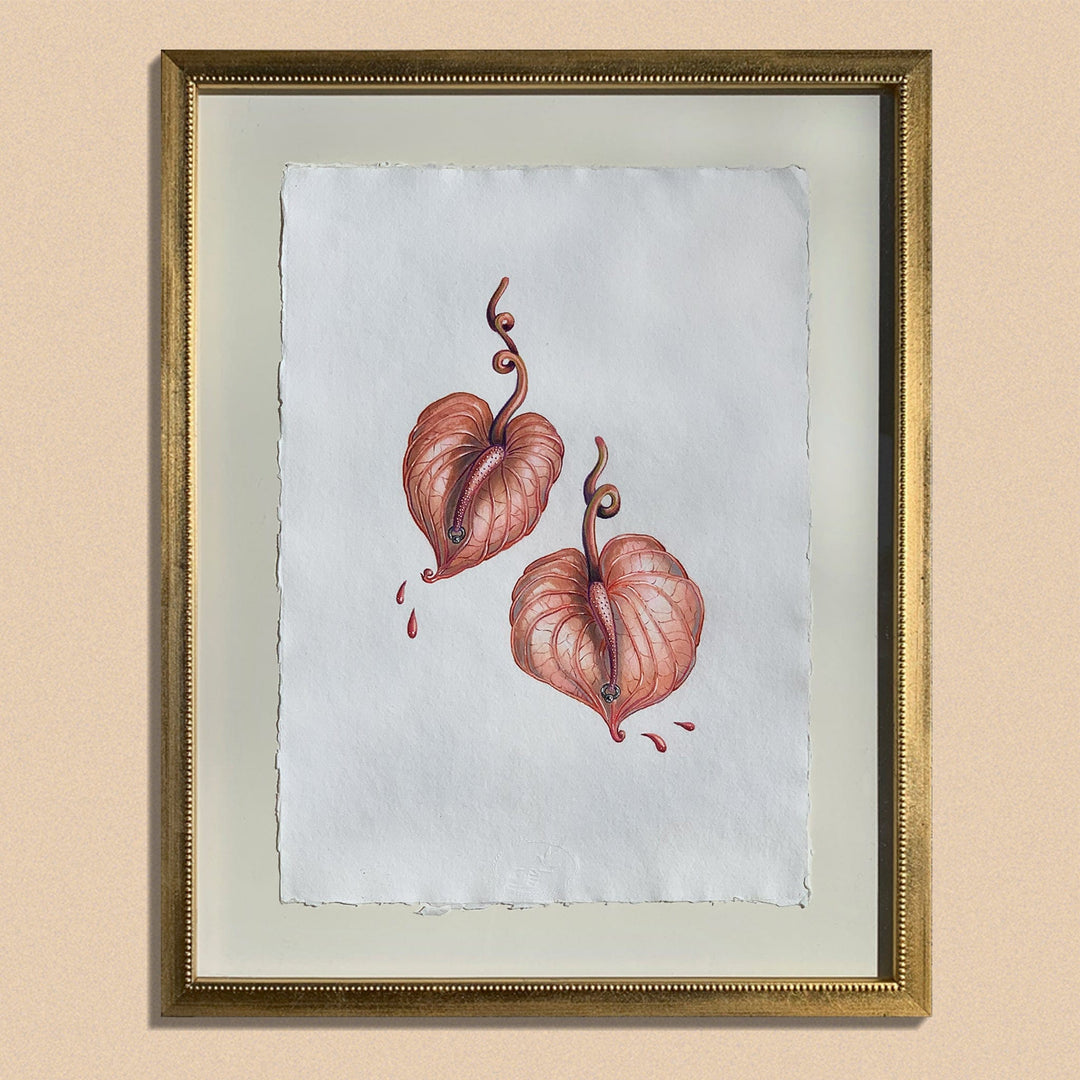 Silviya Neri Painting Silviya Neri Anthuriums Botanical Handmade Illustration Silviya Neri: Anthuriums Botanical Handmade Illustration Brand