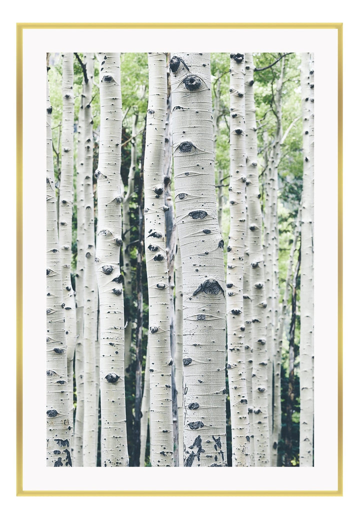 Canvas Print Small		50x70cm / Gold Bosco Bosco Prints : Ready to hang framed artwork. Brand