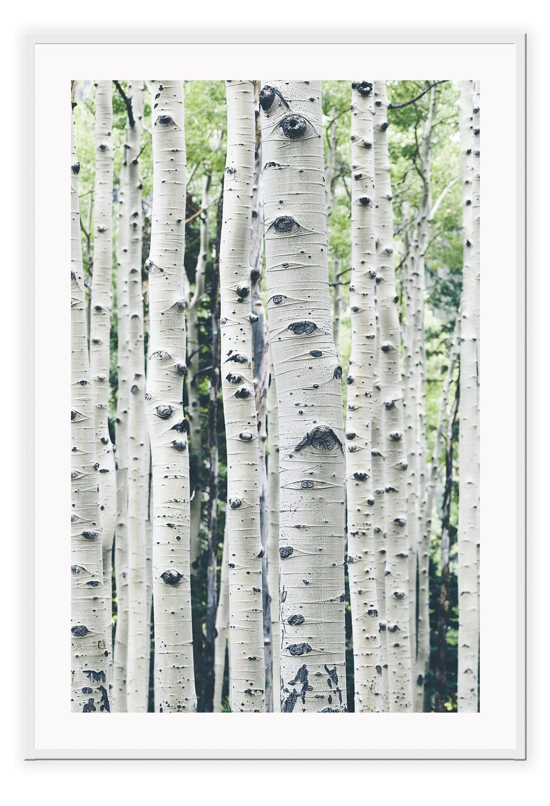 Canvas Print Small		50x70cm / White Bosco Bosco Prints : Ready to hang framed artwork. Brand