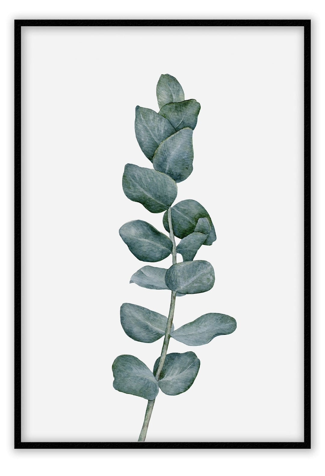 Canvas Print Sketchy Eucalyptus Sketchy Eucalyptus Wall Art : Ready to hang framed artwork. Brand