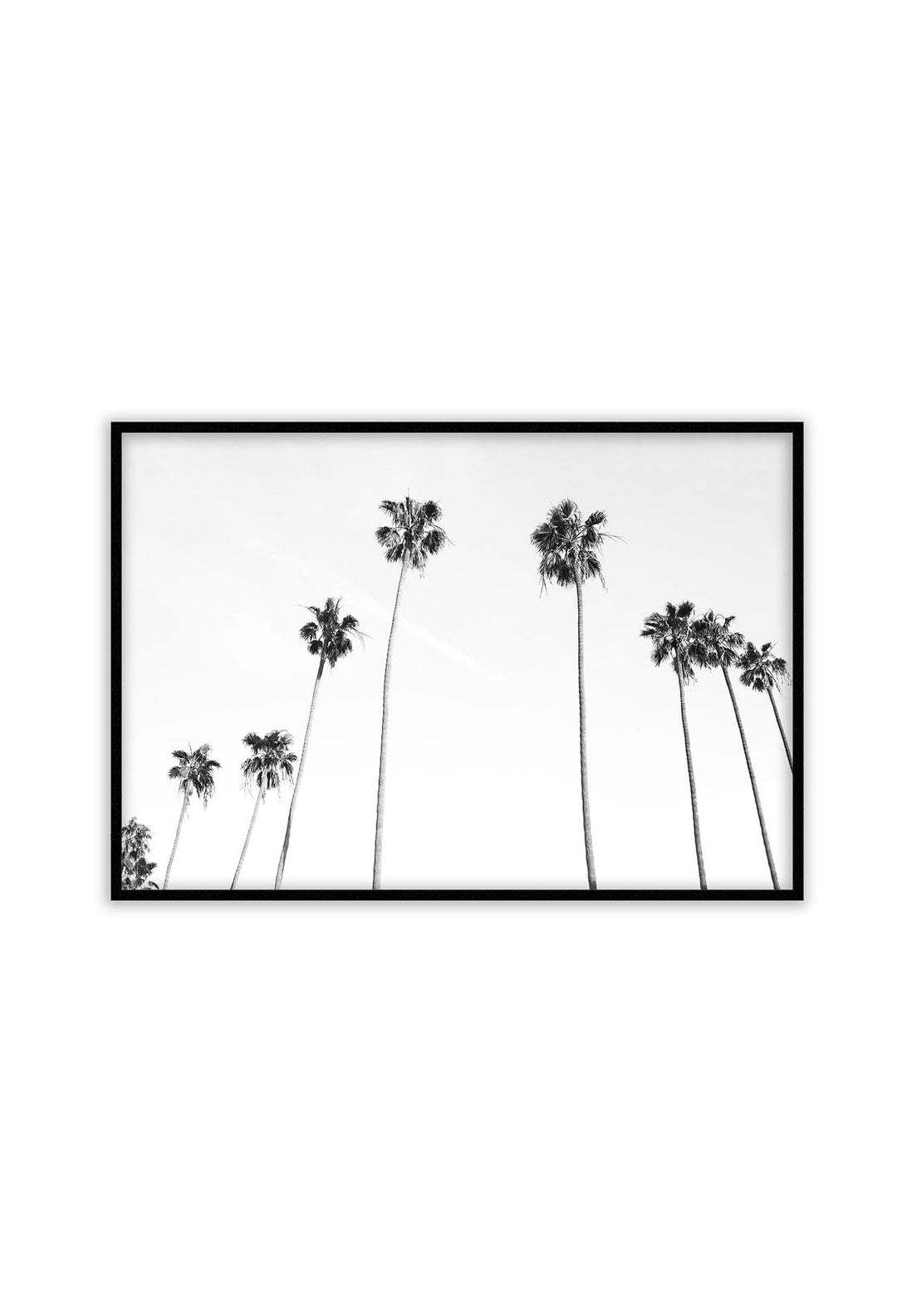 Canvas Print White Sky White sky Framed Print Brand