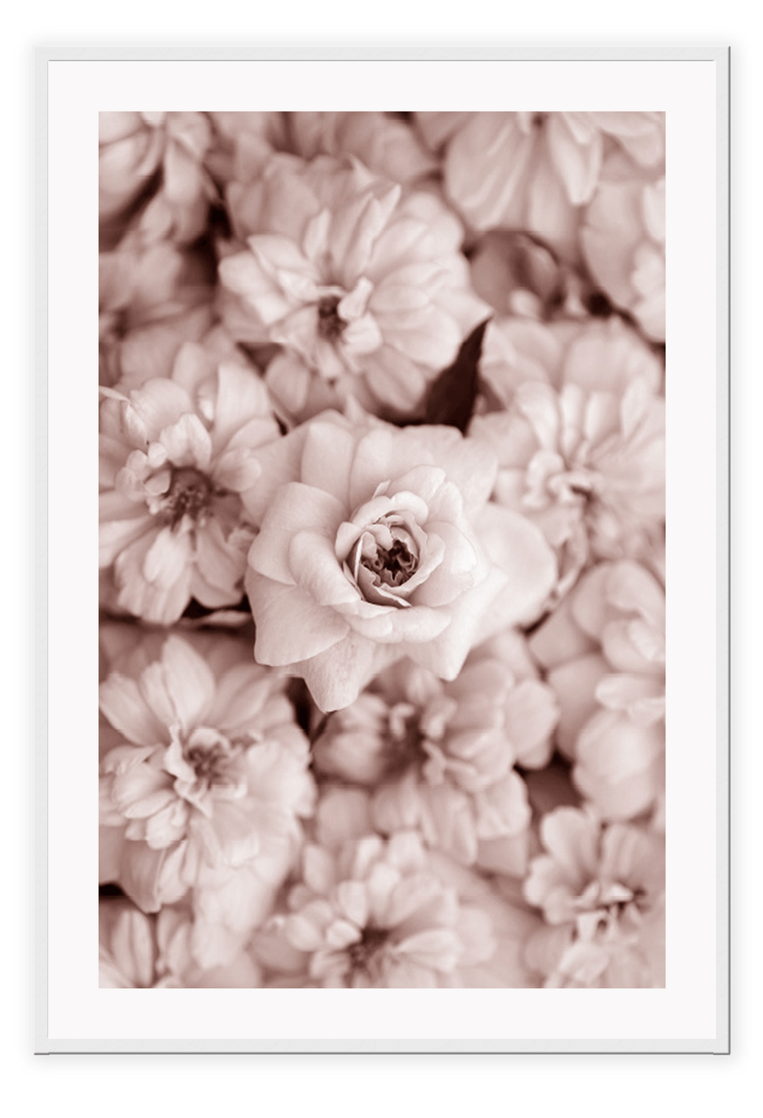 Canvas Prints 50x70cm / White Blush Bloom Blush Bloom Wall Art : Ready to hang framed artwork. Brand